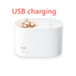 Wireless Mini USB charging sprayer
