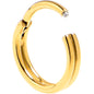 20G 1/4 Gold PVD 316L Surgical Steel Double Precision Hinged Segment Ring