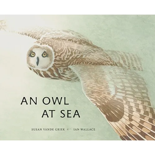 An Owl at Sea - Hardcover