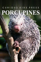 Porcupines - Curious Kids Press: Curious Kids Press - Paperback