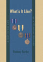 What's It Like?: A Day in the Life of a 'Clinton' Soldier - Hardcover