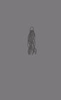 Gray Jellyfish - Paperback