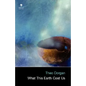 What This Earth Cost Us - Hardcover