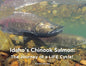 Idaho's Chinook Salmon: The Journey of a LIFE Cycle - Paperback