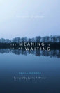 Meaning Is in the Waiting: The Spirit of Advent - Paperback