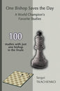 One Bishop Saves the Day: A World Champion's Favorite Studies - Paperback