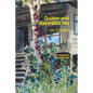 Quaker and Naturalist Too - Paperback