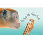 You Stole My Name Tools: The Curious Case of Animals and Tools with Shared Names (Picture Book) - Hardcover