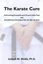 The Karate Cure: Overcoming Prostatitis and Chronic Pelvic Pain - Paperback