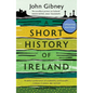 A Short History of Ireland, 1500-2000 - Paperback