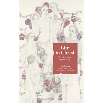 Life in Christ: The Significance of Jesus' Story - Paperback
