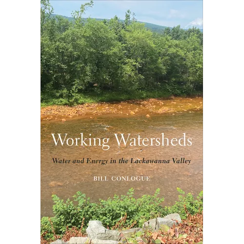 Working Watersheds: Water and Energy in the Lackawanna Valley - Paperback