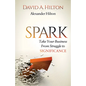Spark: Take Your Business from Struggle to Significance - Paperback