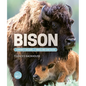 Bison: Community Builders and Grassland Caretakers - Hardcover