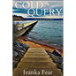 Cold Query: A Blue Water Mystery - Paperback