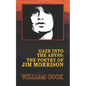 Gaze Into the Abyss: The Poetry of Jim Morrison (Annotated): A Critical Analysis - Paperback