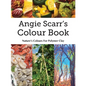 Angie Scarr's Colour Book: Nature's Colours For Polymer Clay - Paperback