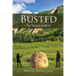 Busted (Tax Dollars at Work) - Paperback