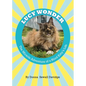 Lucy Wonder: The Miracle Adventure of a Blind Kitty's Life - Paperback