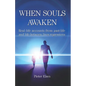 When Souls Awaken: Real-Life Accounts of Past-Life and Life-Between-Lives Regressions - Paperback