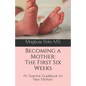 Becoming a Mother: The First Six Weeks - Paperback