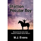 The Stallion and His Peculiar Boy - Paperback