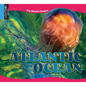 Atlantic Ocean - Library Binding