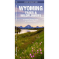 Wyoming Trees & Wildflowers: A Folding Pocket Guide to Familiar Plants