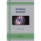The Boron Arsenides - Paperback