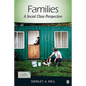 Families: A Social Class Perspective - Paperback