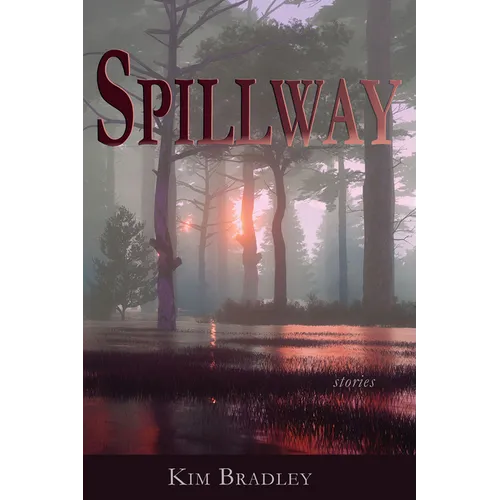 Spillway - Paperback