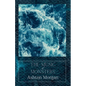 The Music of Monsters - Paperback