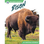 Bison - Library Binding
