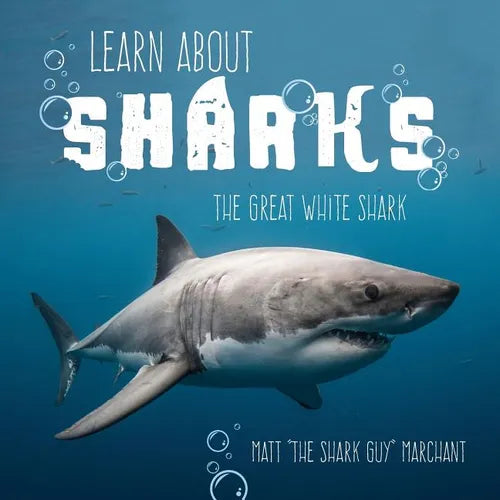 Learn About Sharks: The Great White Shark - Paperback