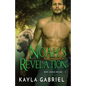 Noah's Revelation: Large Print - Paperback