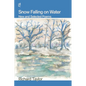 Snow Falling on Water - Paperback