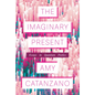 The Imaginary Present: Essays in Quantum Poetics - Paperback
