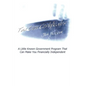 Tax Lien Certificates: A Little Known Government Program That Can Make You Financially Independent - Paperback