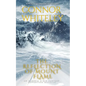 The Reflection Of Mount Flame: An Aleshia Fantasy Adventure Novella - Paperback