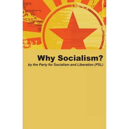 Why Socialism? - Paperback