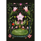 Don't Eat Me! the Almost True Story of Belladonna - Hardcover