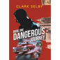 Dangerous Journey: Book One - Hardcover