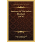Anatomy Of The Indian Elephant (1878) - Paperback
