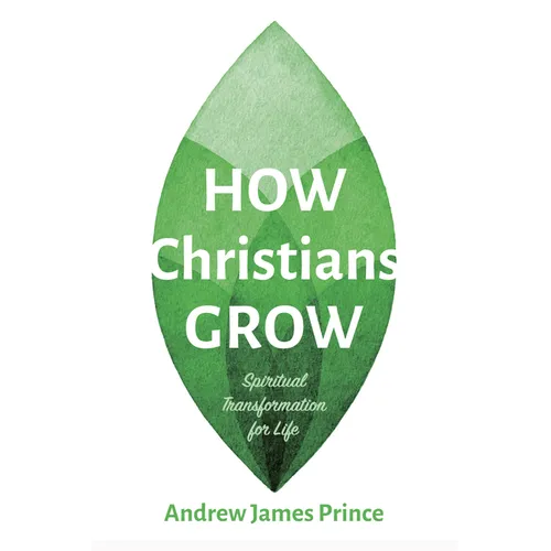 How Christians Grow: Spiritual Transformation for Life - Hardcover