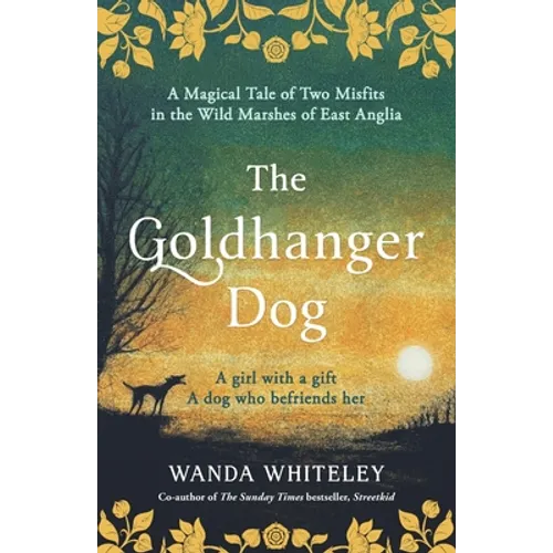 The Goldhanger Dog: Magical Tudor Tale of Two Misfits - Paperback