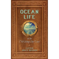 Ocean Life in the Old Sailing Ship Days - Paperback
