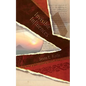 Invisible Influences - Paperback