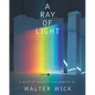 A Ray of Light - Hardcover