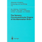 The Sensory Circumventricular Organs of the Mammalian Brain: Subfornical Organ, OVLT and Area Postrema - Paperback
