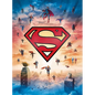 DC: Superman Tiny Book - Paperback
